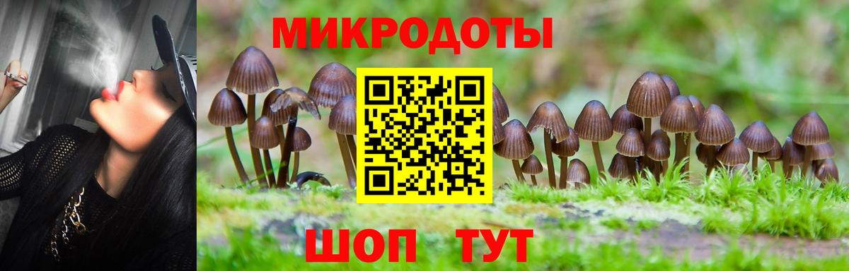 Коломна  Галлюциногенные грибы MAGIC MUSHROOMS  Галлюциногенные грибы прущие грибы  Вход с VPN 